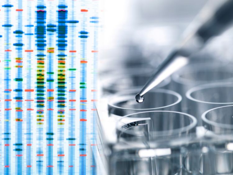 Genetic Testing for Hypertrophic Cardiomyopathy