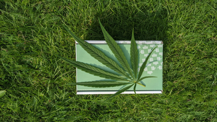 How to Legally Obtain a Medical Marijuana Card