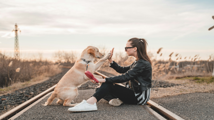Choosing a Dog for an Active Lifestyle