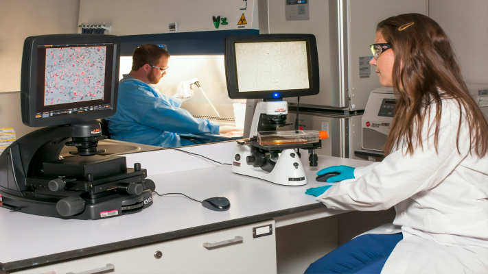 Autoimmune Disease Diagnosis
