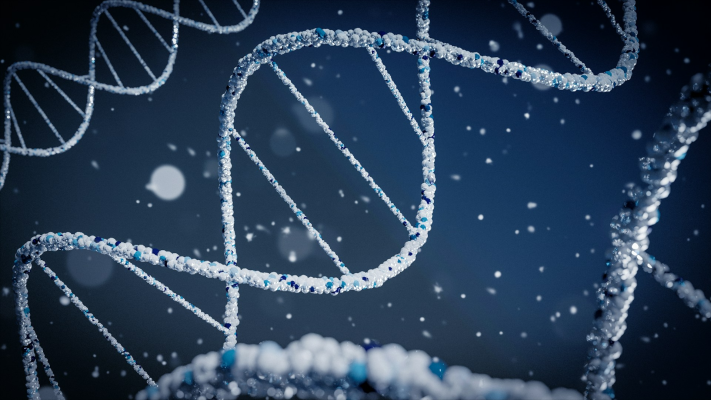 DNA Wellness Testing and Preventive Health