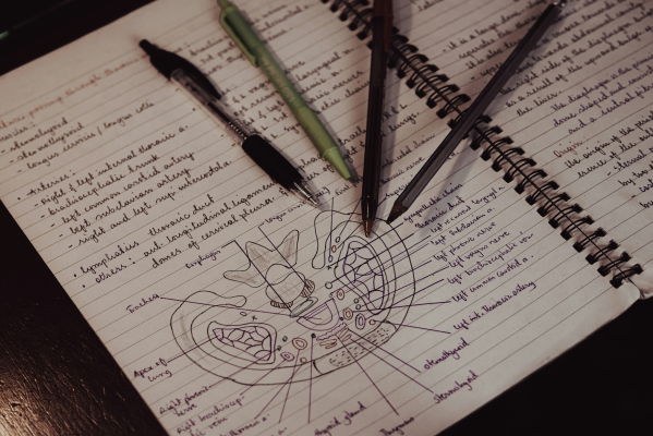 8 Places to Find Biology Homework Help