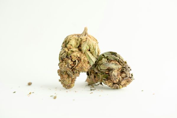 5 Tips for Buying CBD Flower Wholesale