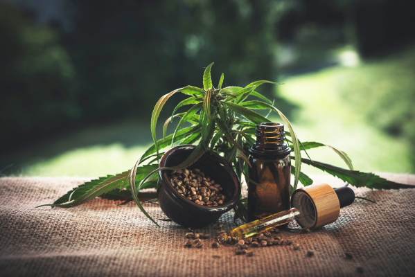 What Are the Components of a CBD Product?