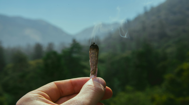 Marijuana Addiction: Facts, Signs and Support Options