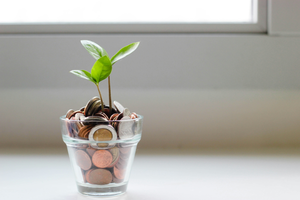 Year-End Health Savings Account Strategies