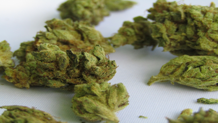 Legal Cannabis for Medical Treatment