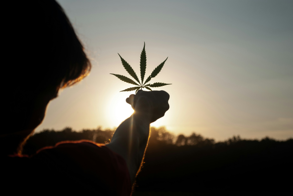 5 Reasons to Consider Quitting Cannabis